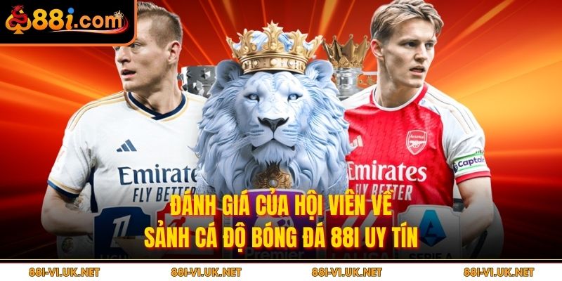 Đánh giá của hội viên về sảnh cá độ bóng đá 88I uy tín